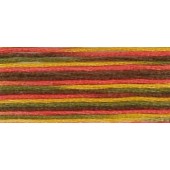 DMC Coloris Stranded Cotton Thread 4511