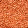 Glass Seed Beads 00423 - Tangerine
