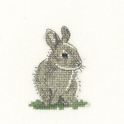 LFBR1077 - Baby Rabbit