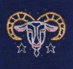 DMC Capricorn Cross Stitch Kit BK1859