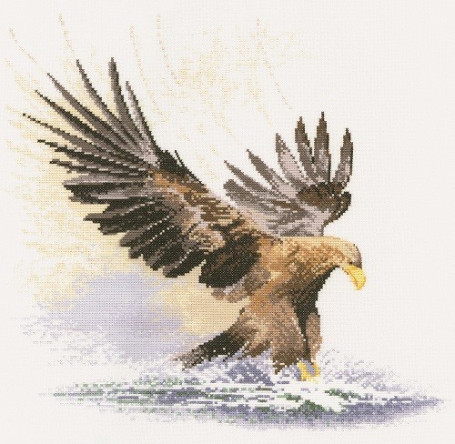 FFEF481 - Eagle in Flight