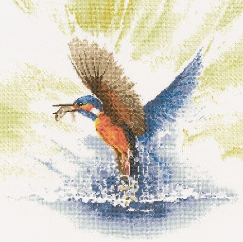 FFKF482 - Kingfisher in Flight