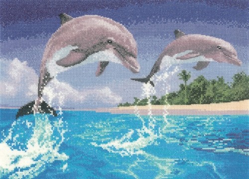 PGDO1084 - Dolphins