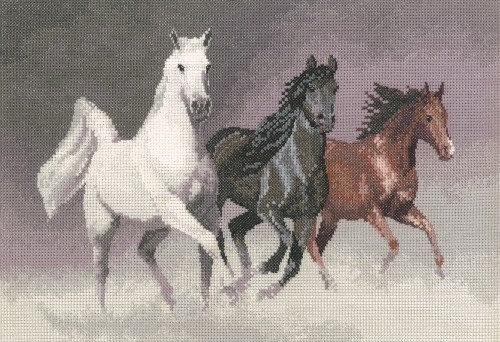 PGWH1022 - Wild Horses