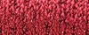 Tapestry #12 Braid - 003HL Red High Lustre