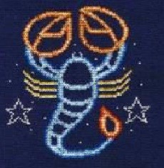 DMC Scorpio Cross Stitch Kit BK1869