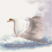 FFSF484 - Swan in Flight