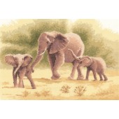 PGEL646 - Elephants