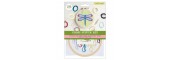 Simply Make Cross Stitch Kit - Colourful Dragonfly