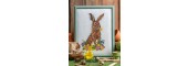 Cross Stitcher Project Pack - Hoppy Easter - XST355