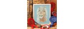Cross Stitcher Project Pack - Issue 406 - The Mane Attraction