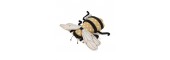 Pincushion: Bee
