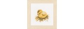 Lanarte Counted Cross Stitch Kit - Little Chick with Worm
