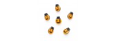 Pumpkin With Hat Buttons - 4 Pack