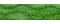 Frosty Rays - Y082 Light Christmas Green Gloss