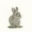 LFBR1077 - Baby Rabbit