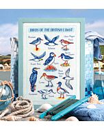 Cross Stitcher Project Pack - issue 384 - Seabird Spotting