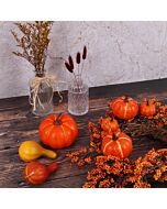 Pumpkin & Gourds