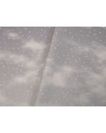 FOTM - Snowy Days Grey - Evenweave