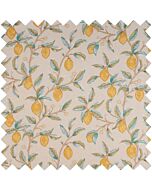 Scissors in Case - Morris Lemons