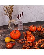 Pumpkins & Gourds