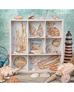 CrossStitcher Project Pack - Issue 423 - Beachcomber Bliss Shell Tray
