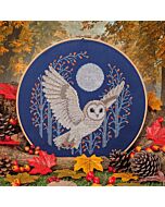 CrossStitcher Project Pack - Issue 440 - Moonlight Flight