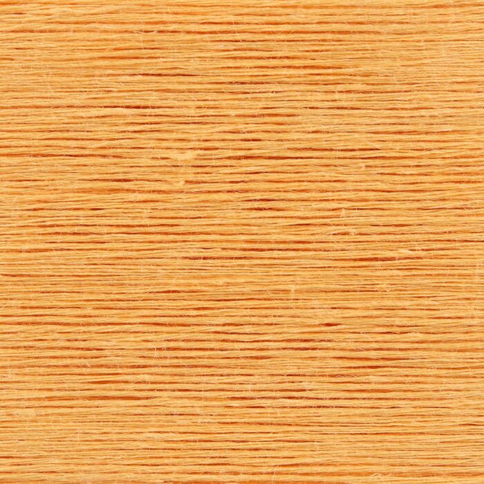 010 - Apricot
