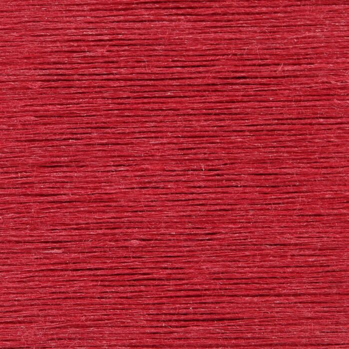 017 - Raspberry