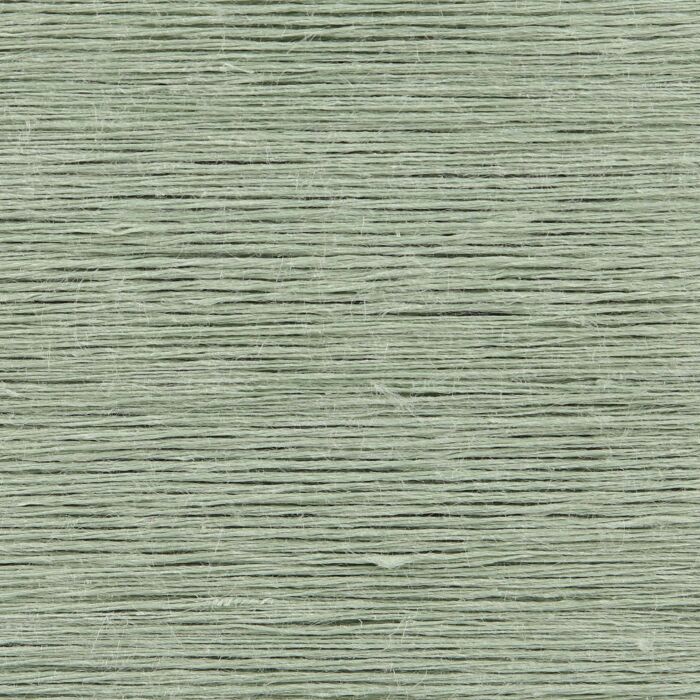 024 - Aloe