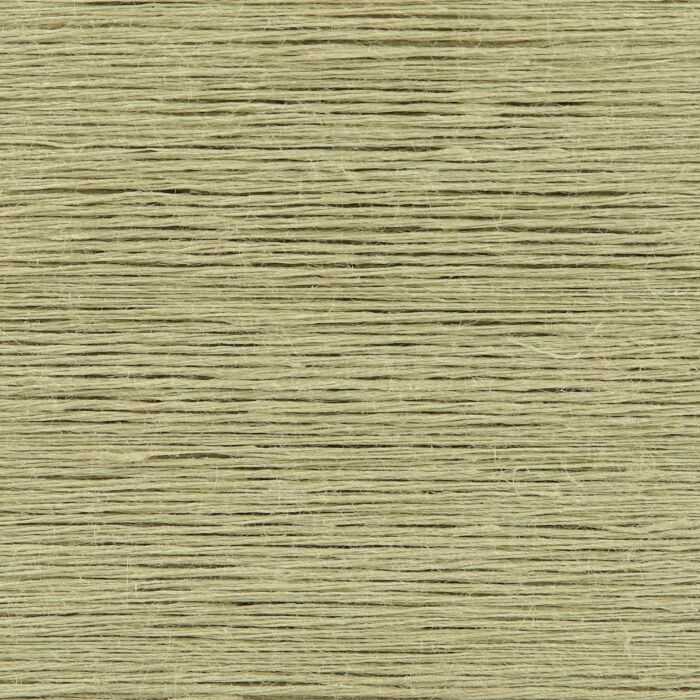 026 - Pistachio