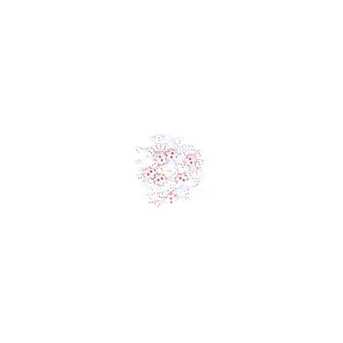 Craft Buttons - White Flowers (2.5g Pack)