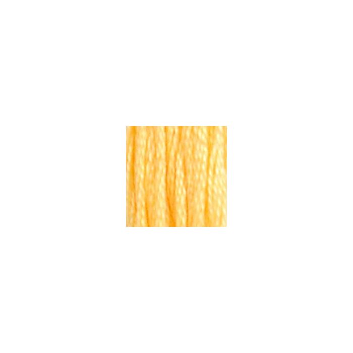 DStr 19