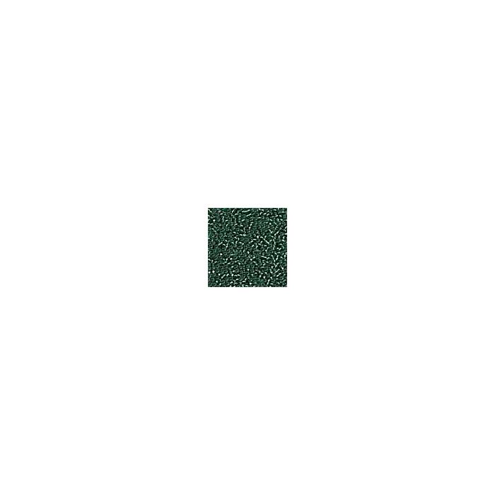 Petite Glass Beads 42039 - Brilliant Green