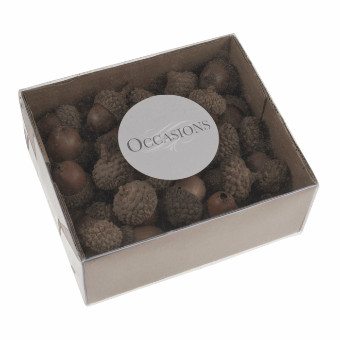 Natural Acorns