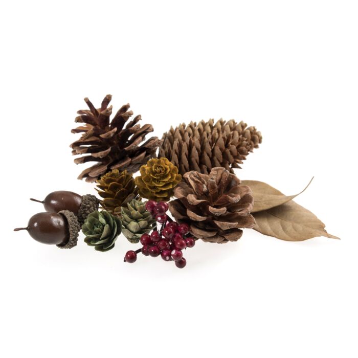 Natural Acorn Mix Bag
