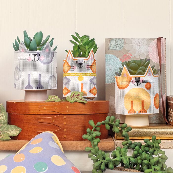 Purrfect Pots - Plastic Aida