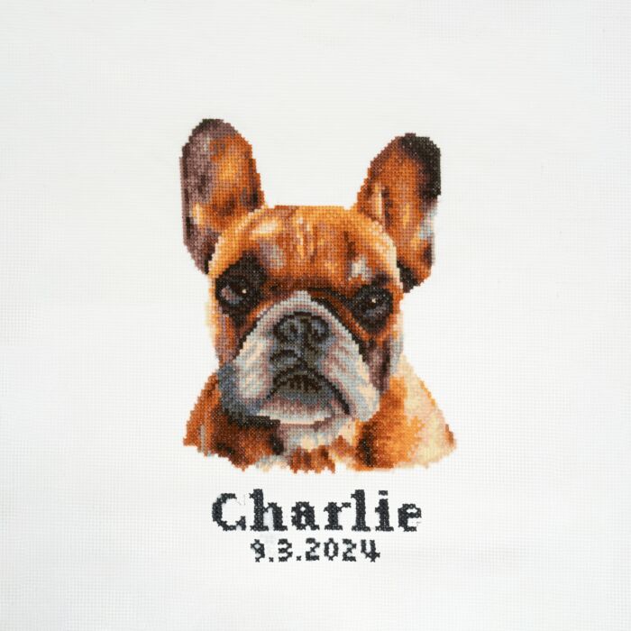 Trimits Dog Cross Stitch Kits: French Bulldog