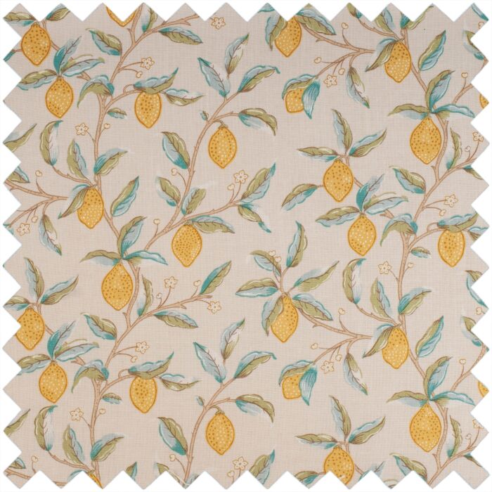 Scissors in Case - Morris Lemons