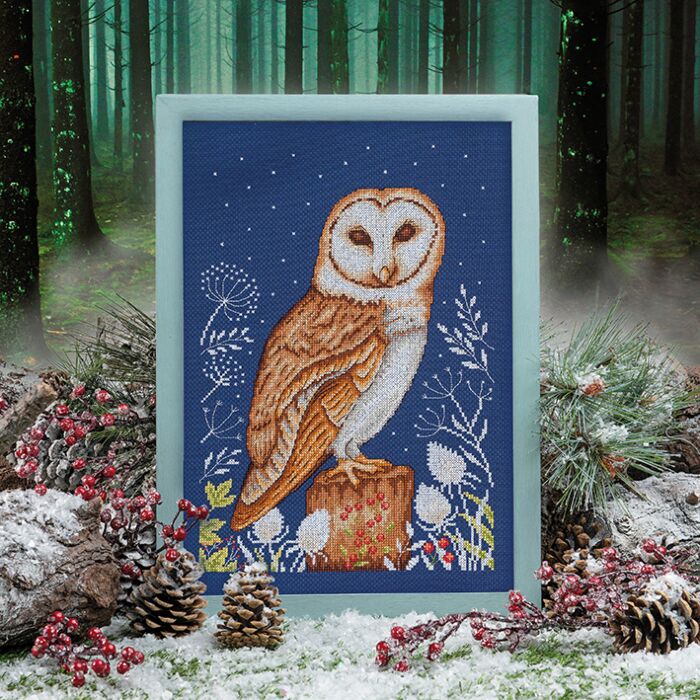 Cross Stitcher Project Pack - Issue 418 - Night Owl