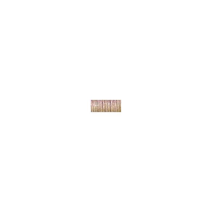 1/8in Ribbon - 5550 Nutmeg