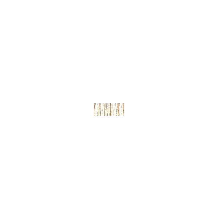 Canvas #24 Braid - 5555 Oyster