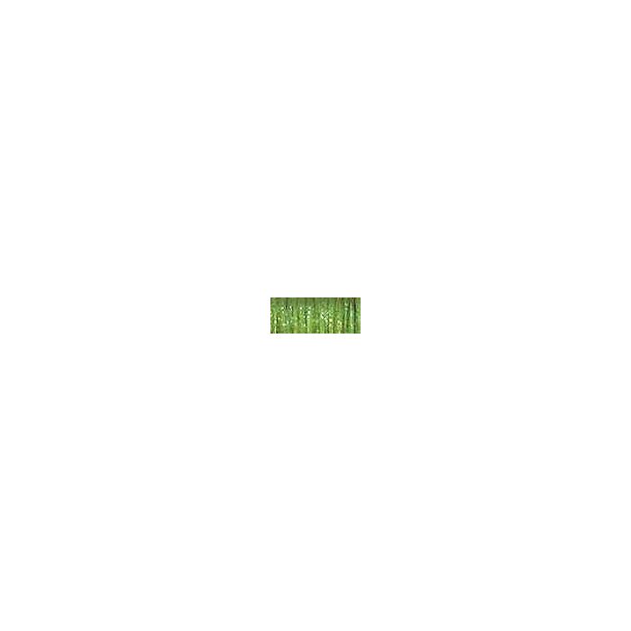 Kreinik #4 - 5535 Gourmet Oregano