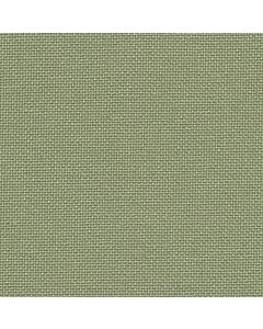 32 Count Belfast Olive Green