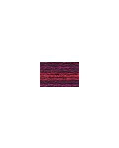 DMC Colour Variations Thread - 4210