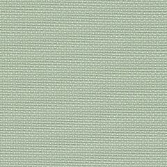 Zweigart 14 Count Aida - Celedon Green - Off cut 43" x 11"