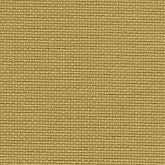 18 Count Aida Dirty Aida