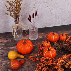 Pumpkin & Gourds
