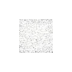 Seed Beads - Crayon White