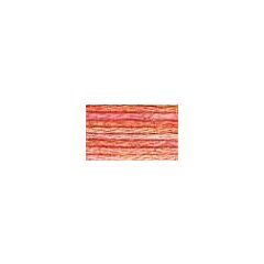 DMC Colour Variations - 4110